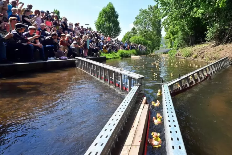 Zieleinlauf beim Elwetritsche-Rennen 2023 – begleitet von einer großen Kulisse.