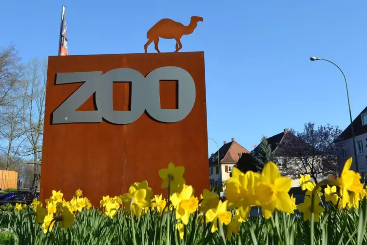 Beliebt: Zooausflug im Frühling, hier Landau. 