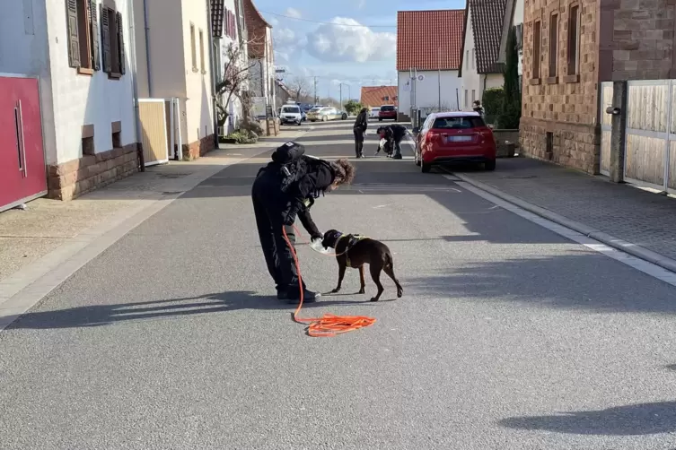 Die Polizei hatte lange nach der Tatwaffe gesucht. 