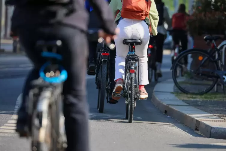 193.386 Kilometer haben Homburgs Stadtradler letztes Jahr insgesamt gesammelt.