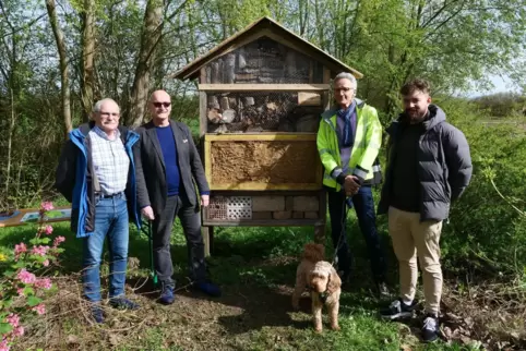 Am Insektenhotel (von links): Ideengeber Heinz-Peter Wierig, Mathias Münzenberger (BDS), Wolfgang Koch (SGD) und Jonas Hoffmann 