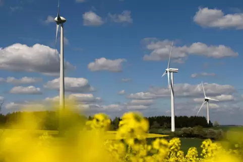 Erneuerbare Energien sind derzeit für etliche Ortsbürgermeister und Gemeinderäte das Thema der Stunde. Kein Wunder, gibt es doch