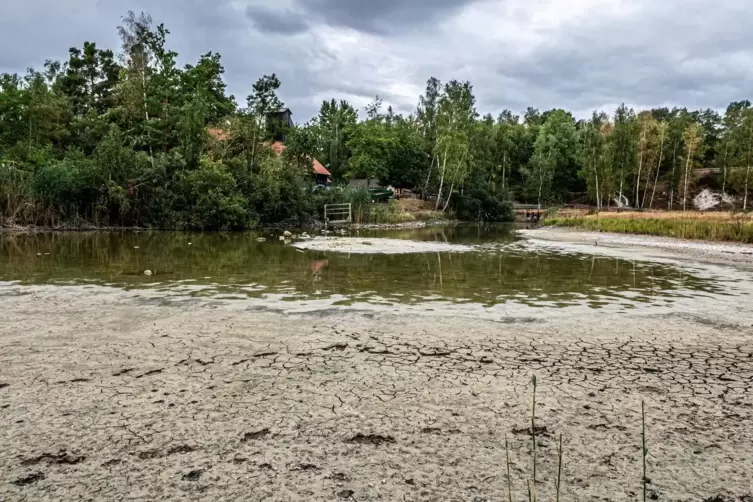 In den zurückliegenden Sommern immer wieder sichtbar: austrocknende Weiher in der Erdekaut. 