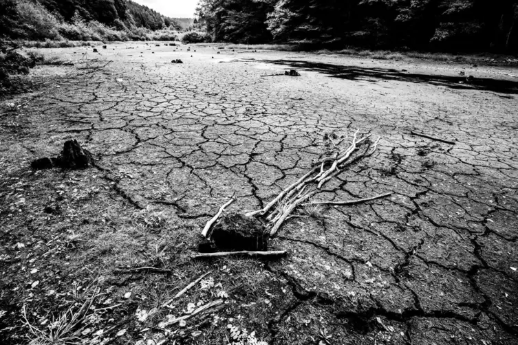  Boden mit Rissen: Folge des Klimawandels in der Pfalz. 