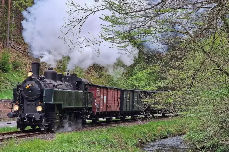 Das Kuckucksbähnel im Tal. 