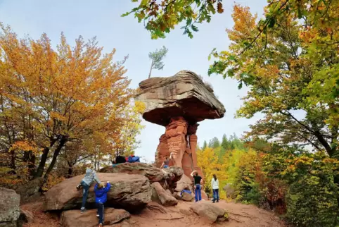 Die Pfalz bietet so viel: Felsen im Wald, Weinberge, jede Menge Ausflugsziele in der Rheinebene, Burgen im Westrich und hohe Ber