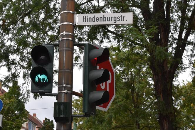 Die Hindenburgstraße wird bald »Am Zoo« heißen.