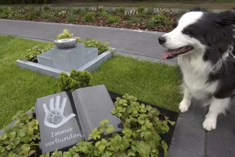 Mustergrab auf einem Essener Friedhof, wo sich Mensch und Haustier gemeinsam bestatten lassen können.