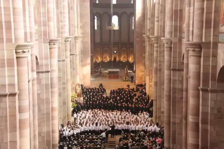 Die Tropf-Chöre im Dom bei „Baden schaut über den Rhein“ 2017. 