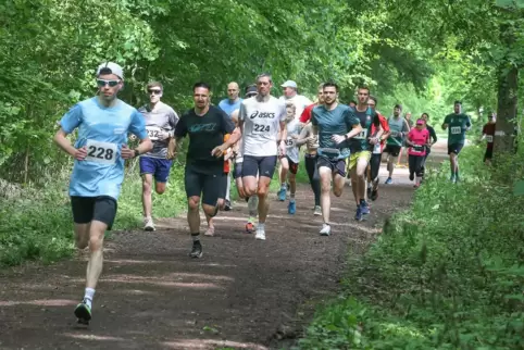 Top Bedingungen: Waldlauf beim ASV Harthausen.