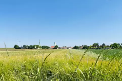 In Großniedesheim besteht der Wunsch nach etwas Expansion. 