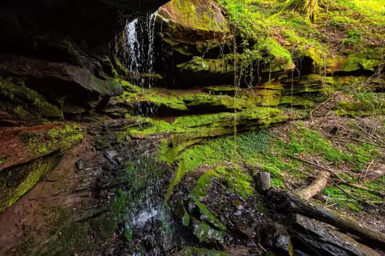 Die Wege rund um die Hexenklamm werden umgelegt. 