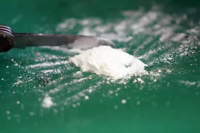 Kokain: eine der sichergestellten Drogenarten.