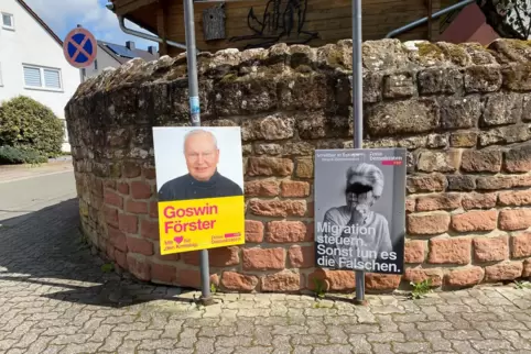  Dass Wahlplakate beschmiert werden, wie das der FPD-Politikerin Strack-Zimmermann rechts, kam bei vergangenen Wahlen auch schon