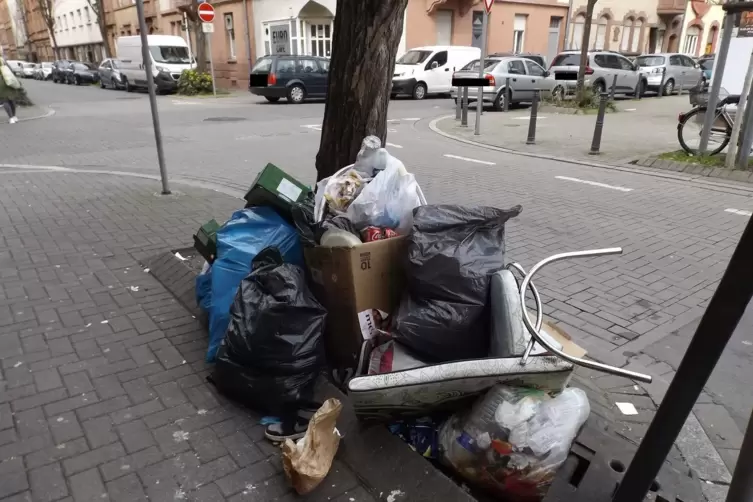 Ärgernis: Wilder Müll im Hemshof. 