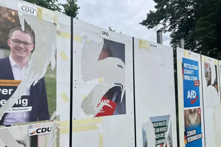 Zerstörte Wahlplakate in Maximiliansau. 