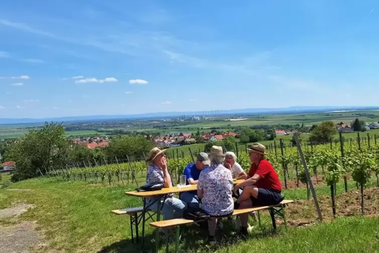 Mit Weitblick in die Rhein-Ebene: „Wein per pedes“ 2024. 