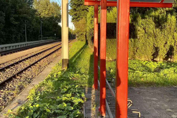 Eine weitere Haltestelle der Rhein-Haardt-Bahn war in Ruchheim Nordost schon vor Jahren im Konzept „RHB 2010“ geplant. 