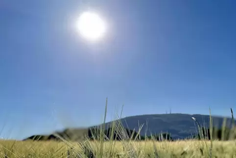 Schöne Idylle: der Donnersberg im Sonnenschein. 