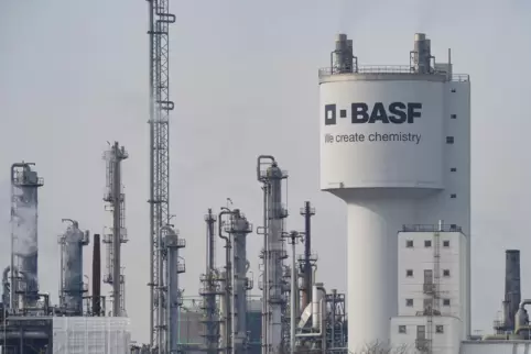 Die IHK Pfalz vertritt rund 80.000 Unternehmen in der Pfalz – vom weltgrößten Chemiekonzern BASF bis zur kleinen Imbissbude. 