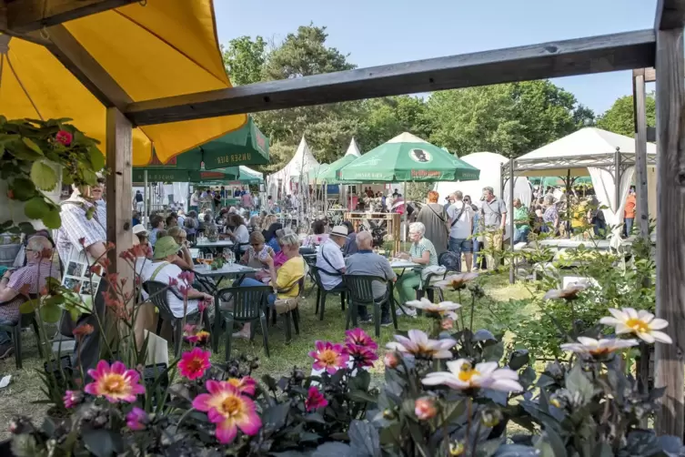 Auch das ist Begata: Sich beim Plaudern, Musikhören, Essen und Trinken vom Marktrundgang erholen.