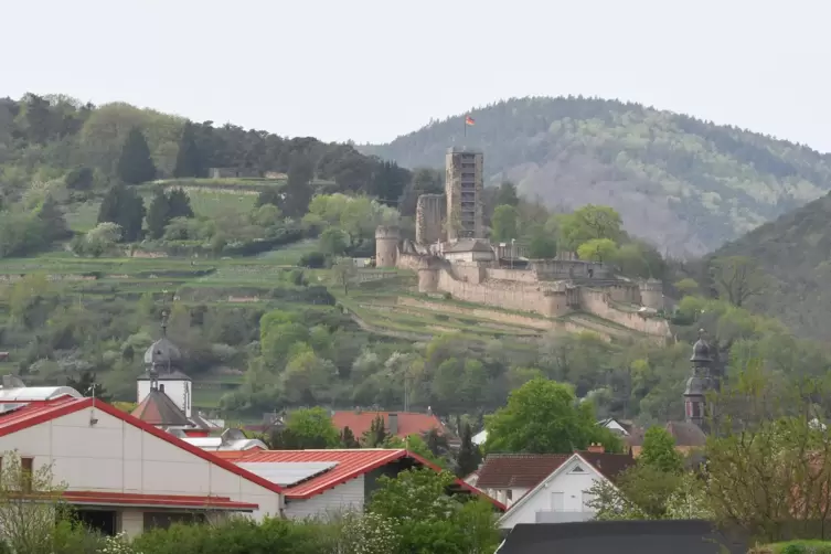 Punkten soll die Stadt mit weit mehr als „nur“ der Wachtenburg, finden die Fraktionen im Stadtrat über die Parteigrenzen hinweg.