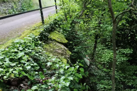 Trotz des Mauerbruchs müssen sich die Wanderer entlang des Schlosswegs an der Burg Neu-Wolfstein keine Sorgen machen.