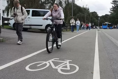 Planung und Bau des neuen Radwegs soll gut zwei Jahren dauern. Unser Foto zeigt den Radweg am Gymnasium Johanneum. 