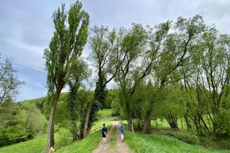 Unterwegs zwischen Feldern, Wiesen, Wäldern: Die Tour verknüpft Geschichte mit abwechslungsreicher Landschaft.