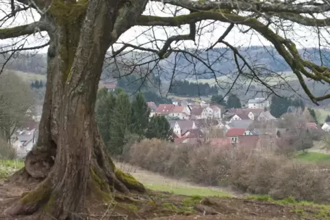 Fünf Bauplätze sollen in Langwieden über die Verlängerung der Straße erschlossen werden. 