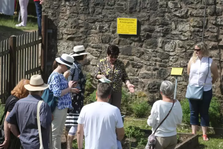 Besuch auf Burg Lichtenberg: Auch junges Grün wächst hier. Der Kräutergarten auf der Unterburg ist am 19. Mai zudem der Treffpun