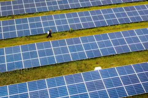 Gebaut werden soll eine sechseinhalb Hektar große Freiflächen-Photovoltaikanlage. 