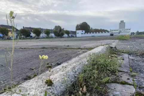 Die Brachfläche am Luitpoldhafen ist 2,6 Hektar groß.