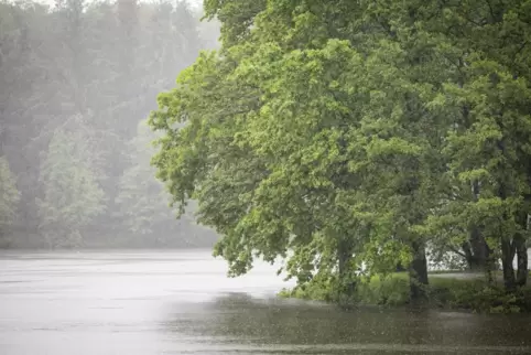 Am Jägersburger Weiher war die Lage am frühen Nachmittag noch ruhig. Jedoch war der gestiegene Wasserspiegel deutlich zu erkenne