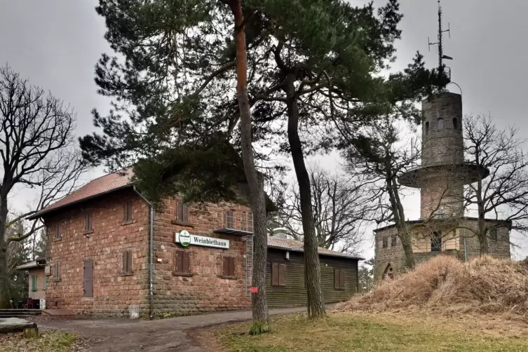 Beliebtes Wanderziel: Weinbiethaus und Weinbiet-Turm auf dem Neustadter Hausberg. 