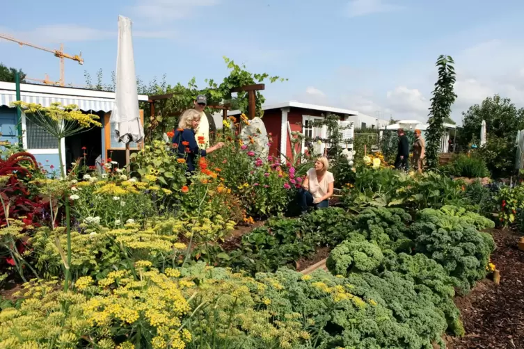 Im Interkulturellen Garten kommen Menschen vieler Nationen zusammen. 