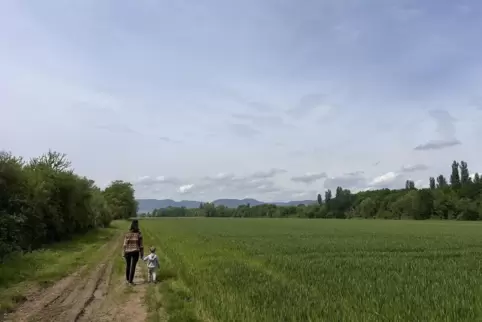 Der Gäuwiesenweg führt über zehn Kilometer zwischen Altdorf und Böbingen über weitläufige Wiesenlandschaften. 