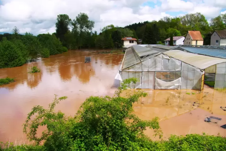 Wassermassen rund um die Gewächshäuser und die Schuhfabrik.