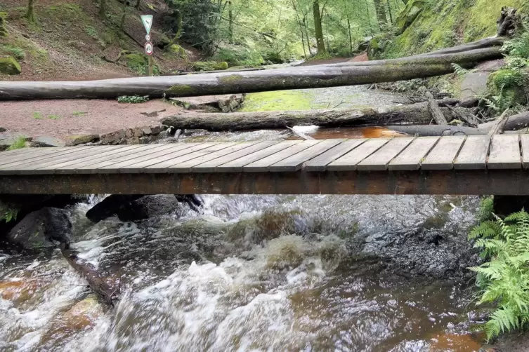 Nach den Regenfällen der vergangenen Woche führt die Moosalb noch viel Wasser. 