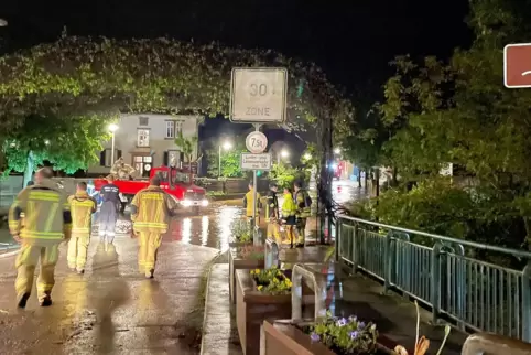 Die Donnersberger Wehren unterstützten die Einsatzkräfte im Hochwassergebiet bei Trier. 