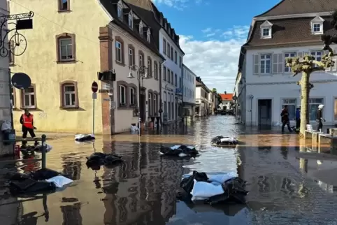 Weil ein Pumpwerk ausgefallen war, drückte sich das Wasser am Samstagabend durch die Gullydeckel und überflutete die Blieskastel