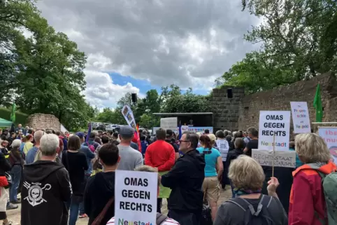 „Neustadt bleibt bunt“: Die Demo zum Schloss endete mit einer Kundgebung auf dem Schlossgelände.