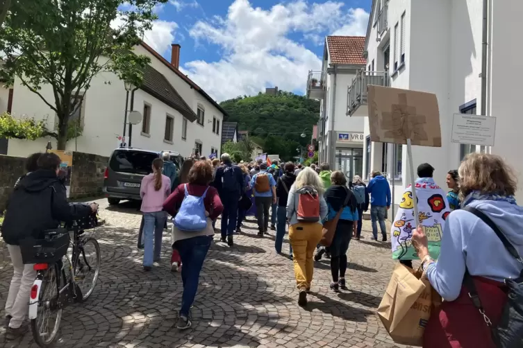 Am Samstag folgten 350 Menschen dem Aufruf, auf dem Schloss für die Demokratie einzutreten.