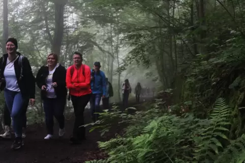 Wanderfreunde haben sich zur Maikur auf den Königsberg aufgemacht. Später wich der Nebel dem Sonnenschein. 