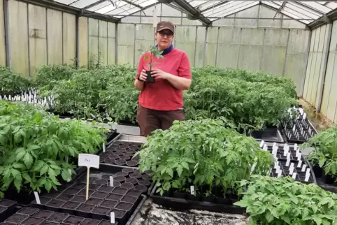 In ihrem Tomatengewächshaus in Obermoschel: Bio-Landwirtin Claudia Euteneuer.