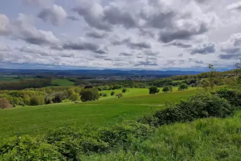 Alles im grünen Bereich: Panoramablick von der Wellnessbank in Eulenbis. 