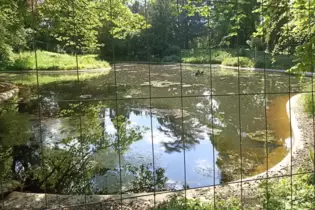 Bald kommt der Zaun am Teich weg.