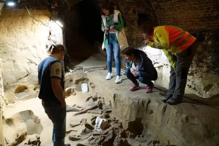 ÖAl-Archäologin Hannah Parow-Souchon (rechts) erläutert der LangenloisermKulturstadträtin Sonja Fragner (Mitte) und Kellerbesitz