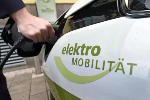 Ein E-Dienstfahrzeug und Carsharing-Auto in einem soll für Schifferstadt angeschafft werden. 