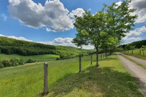 Blick aufs Nordpfälzer Land: Mit einer Fläche von rund 244 Quadratkilometern ist die VG die größte im Kreis. In zwei Städten, 34